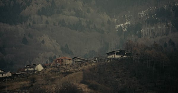 小红书获客：专业服务从业者正在闷声赚钱